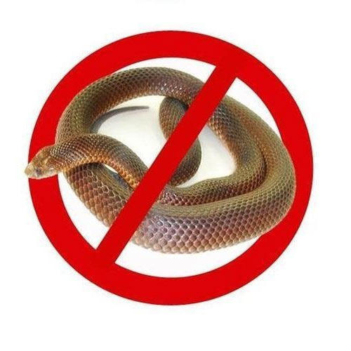 Snake Control