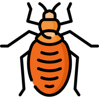 Cockroach Management