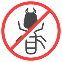 Anti-Termite Treatment