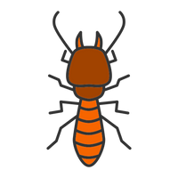 Pre-Construction Anti Termite Treatment