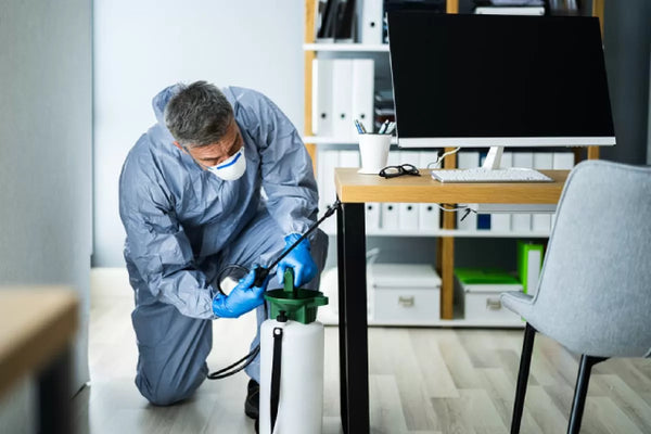 Office Pest Control